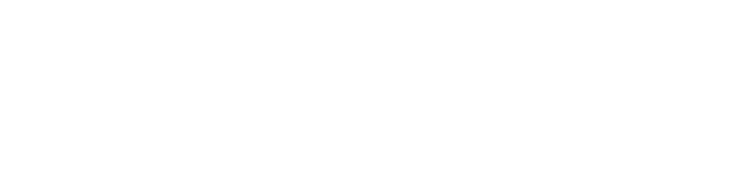 Logo Maristas light